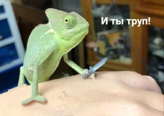🌟 emoji Тыгыдык Telegram sticker 20 of 50