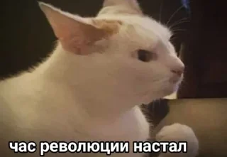 🌟 emoji Тыгыдык Telegram sticker 5 of 50