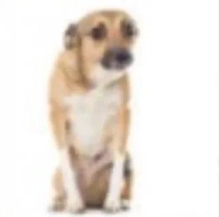 🌟 emoji боба Telegram sticker 18 of 41