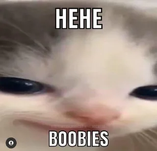 🐱 emoji Hehe not hehe Telegram sticker 7 of 19