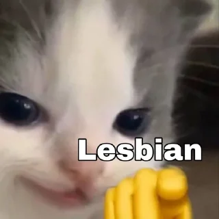 🐱 emoji Hehe not hehe Telegram sticker 17 of 19