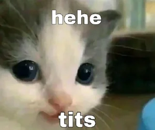 🐱 emoji Hehe not hehe Telegram sticker 9 of 19