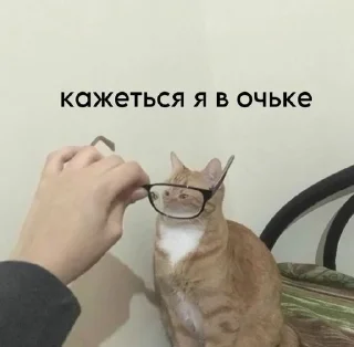 Sticker from МЭМ