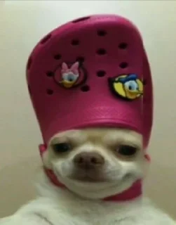 😀 emoji Собаки Telegram sticker 9 of 18