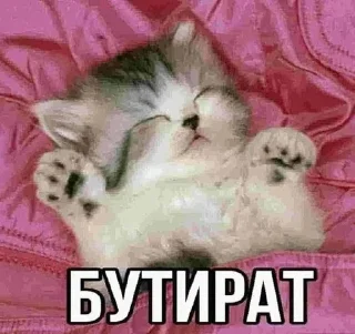 😛 emoji яндекс притон Telegram sticker 24 of 40