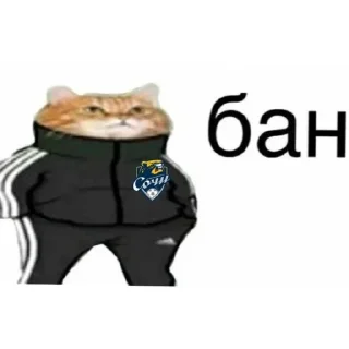 Sticker from поебемся?)
