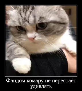 🤭 emoji Комарки pt3 @not_a_dude Telegram sticker 9 of 28