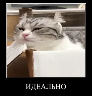 😍 emoji Комарки pt3 @not_a_dude Telegram sticker 19 of 28