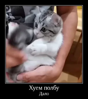 😭 emoji Комарки pt3 @not_a_dude Telegram sticker 16 of 28
