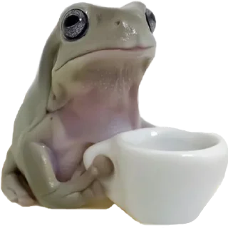 ☕️ emoji жабки!! Telegram sticker 6 of 89