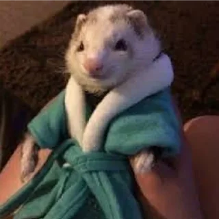 Sticker from Cursed Ferrets