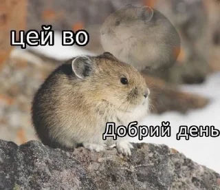 🌟 emoji Цей во, стікери Telegram sticker 16 of 88