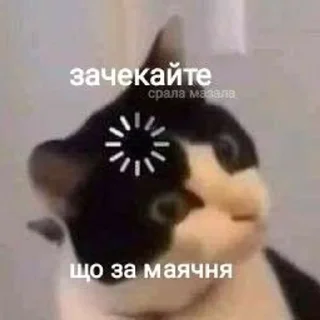 👀 emoji Українські меми Telegram sticker 4 of 83