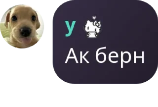 👨‍🏫 emoji Siesta chat pack by @QuotLyBot Telegram sticker 24 of 120