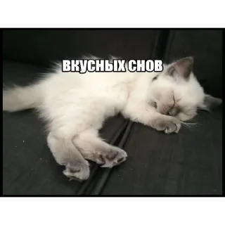 Sticker from эт мои стики