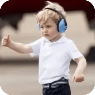 👍 emoji Prince George Telegram sticker 24 of 33