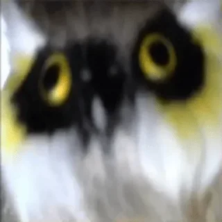 👁 emoji This gave me cancer :-D — @stckrRobot Telegram sticker 16 of 94