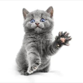 🙃 emoji нагетсы вкусные Telegram sticker 6 of 25