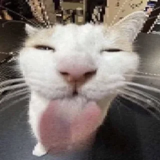 😼 emoji нагетсы вкусные Telegram sticker 11 of 25