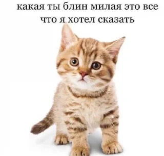 💗 emoji Пикчи для общения @picstotalk Telegram sticker 9 of 50