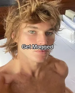 🌟 emoji Get Mogged @Spider_Dimon Telegram sticker 8 of 65