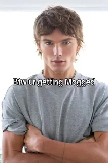 🌟 emoji Get Mogged @Spider_Dimon Telegram sticker 7 of 65