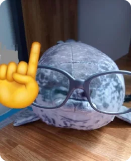 🤓 emoji Тюленчики <3 Telegram sticker 10 of 30