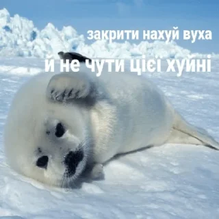 🫠 emoji Уляна каже що я тюленьчик Telegram sticker 14 of 18