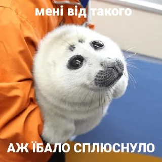 😵‍💫 emoji Уляна каже що я тюленьчик Telegram sticker 18 of 18