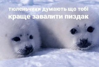 😁 emoji Уляна каже що я тюленьчик Telegram sticker 9 of 18