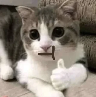 🌟 emoji Буває Telegram sticker 19 of 31