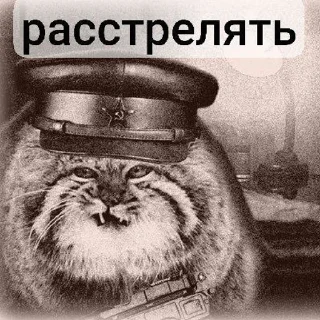🔫 emoji Манулы от Хельга Telegram sticker 14 of 85