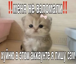 🫛 emoji ну и хуйня Telegram sticker 20 of 42