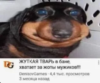 Sticker from Эпл вотч вижен про