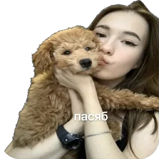 😚 emoji Тимоха балбес Telegram sticker 16 of 55