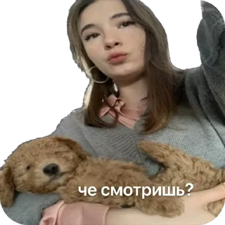 🤱 emoji Тимоха балбес Telegram sticker 8 of 55