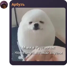 🧝 emoji Чайник 228(2.0) pack by @QuotLyBot Telegram sticker 13 of 13