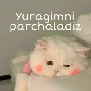 🥺 emoji @Miss_Astoria niki by @StikerYaratishbot Telegram sticker 20 of 109