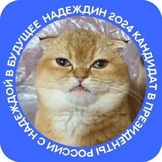 🐱 emoji Ямайская валютная система Telegram sticker 6 of 8