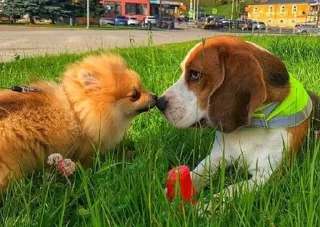 ❤️ emoji лексус Telegram sticker 24 of 74
