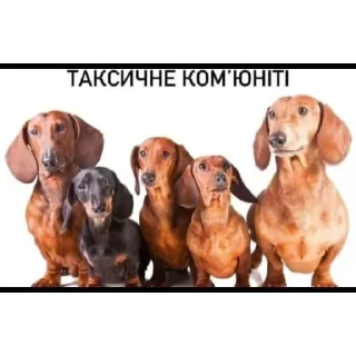 😟 emoji бебебе Telegram sticker 10 of 10