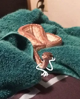 😕 emoji Snake @Llcloud Telegram sticker 22 of 34