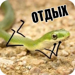 😌 emoji Snake Telegram sticker 14 of 19