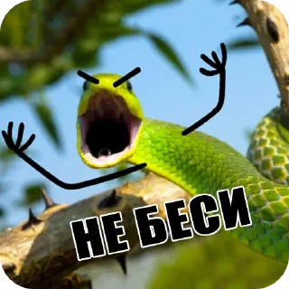😡 emoji Snake Telegram sticker 12 of 19
