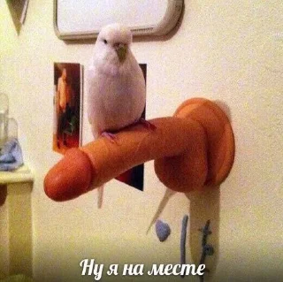 😊 emoji завали ебальник Telegram sticker 16 of 83