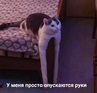 😢 emoji завали ебальник Telegram sticker 14 of 83