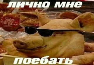 😎 emoji завали ебальник Telegram sticker 7 of 83