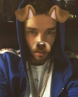 🐶 emoji it's all payne no liam Telegram sticker 2 of 82