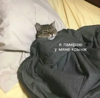 Sticker from Инсульт
