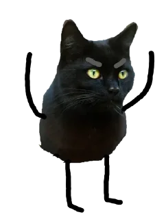 😕 emoji Black Cat @stickersb2b Telegram sticker 7 of 22